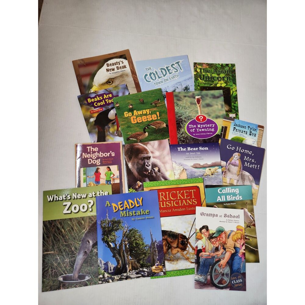 Children’s Book Lot – Mixed Stories & Educational Titles